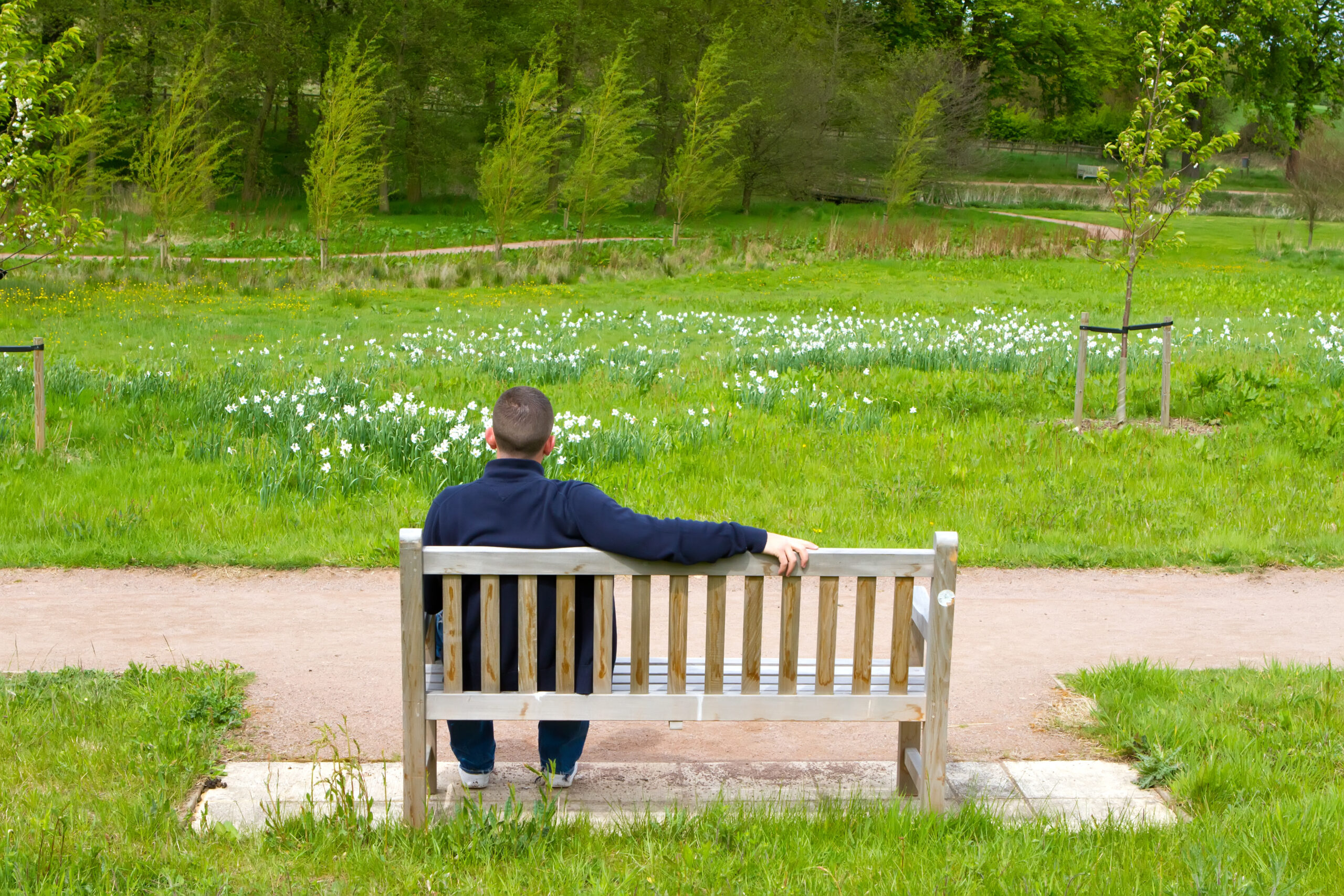 man sitting on a bench in a countryside scene